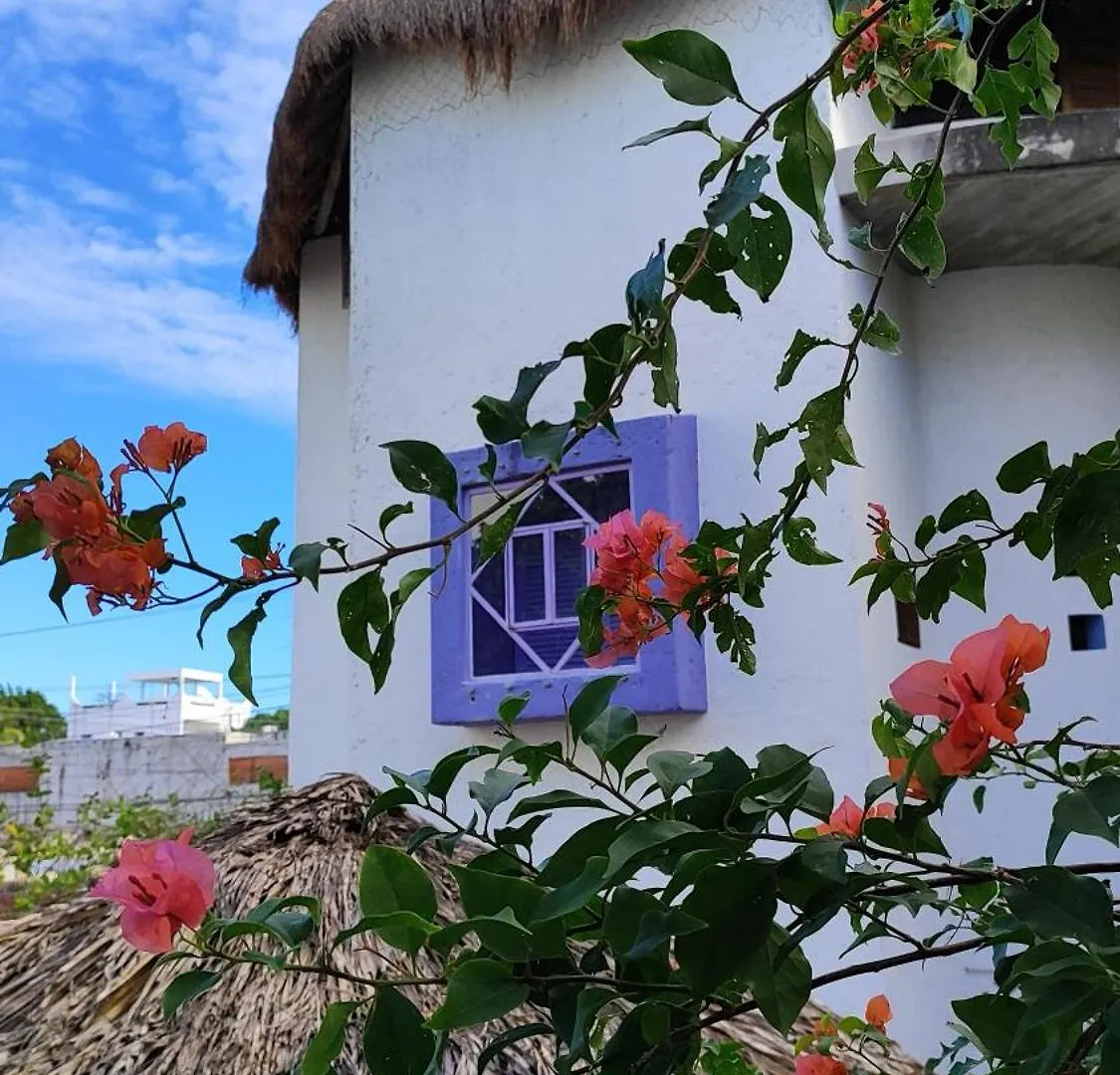 Amaranto Bed And Breakfast Cozumel Couette-café
