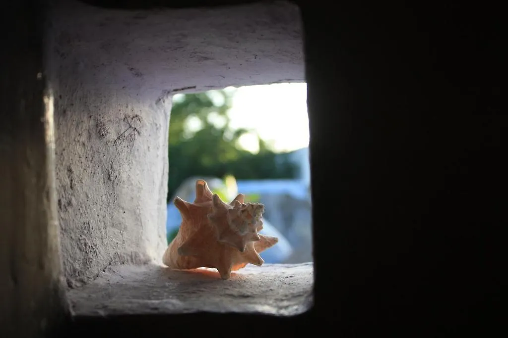 Amaranto Bed And Breakfast Cozumel Bed & Breakfast